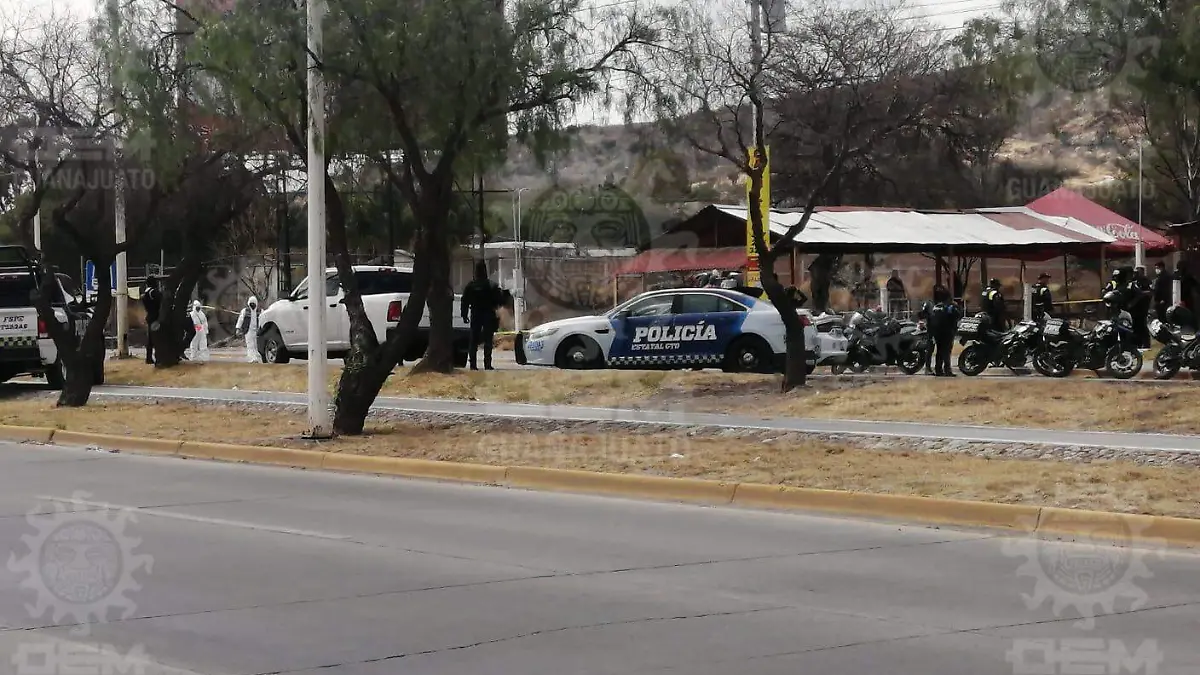 WhatsApp Image 2022-02-12 at 3.34.52 PM (1)