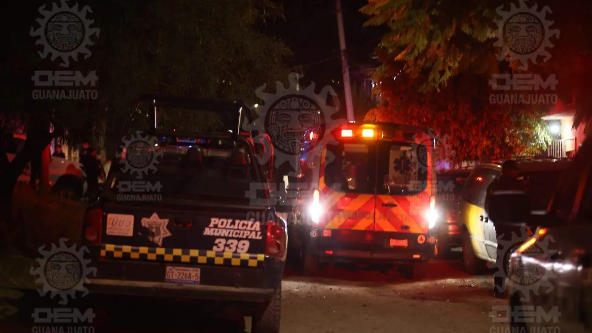 WhatsApp Image 2023-01-04 at 4.18.14 AM