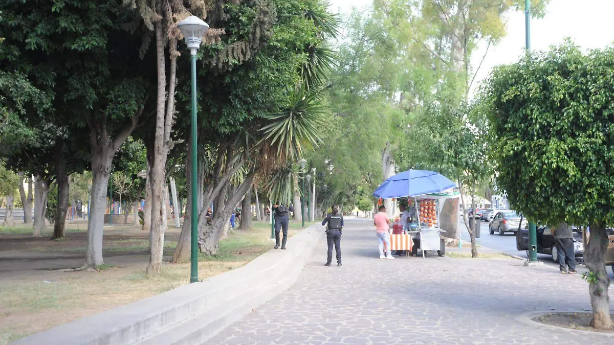 FOTO RICARDO SANCHEZ PARQUE HIDALGO