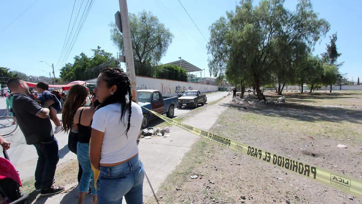 WhatsApp Image 2022-10-14 at 14.28.41