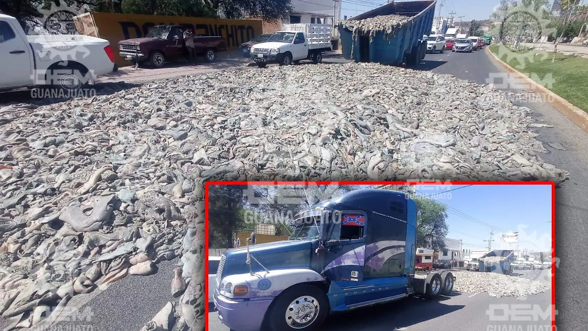 WhatsApp Image 2023-04-18 at 10.58.29 AM