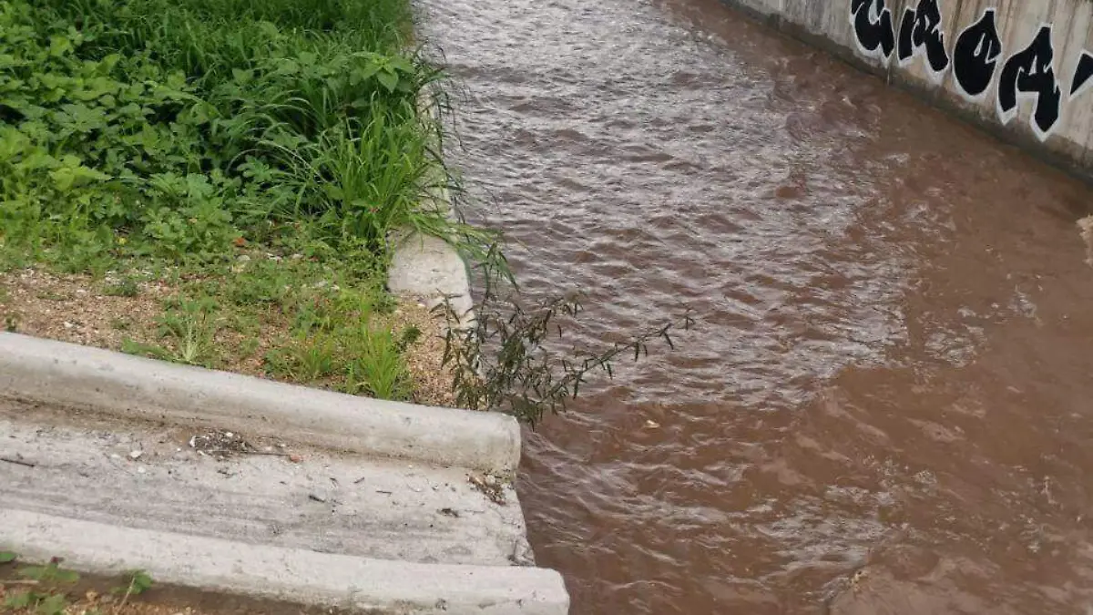 CORTESIA SSPL - NIÑOS RIO (4)