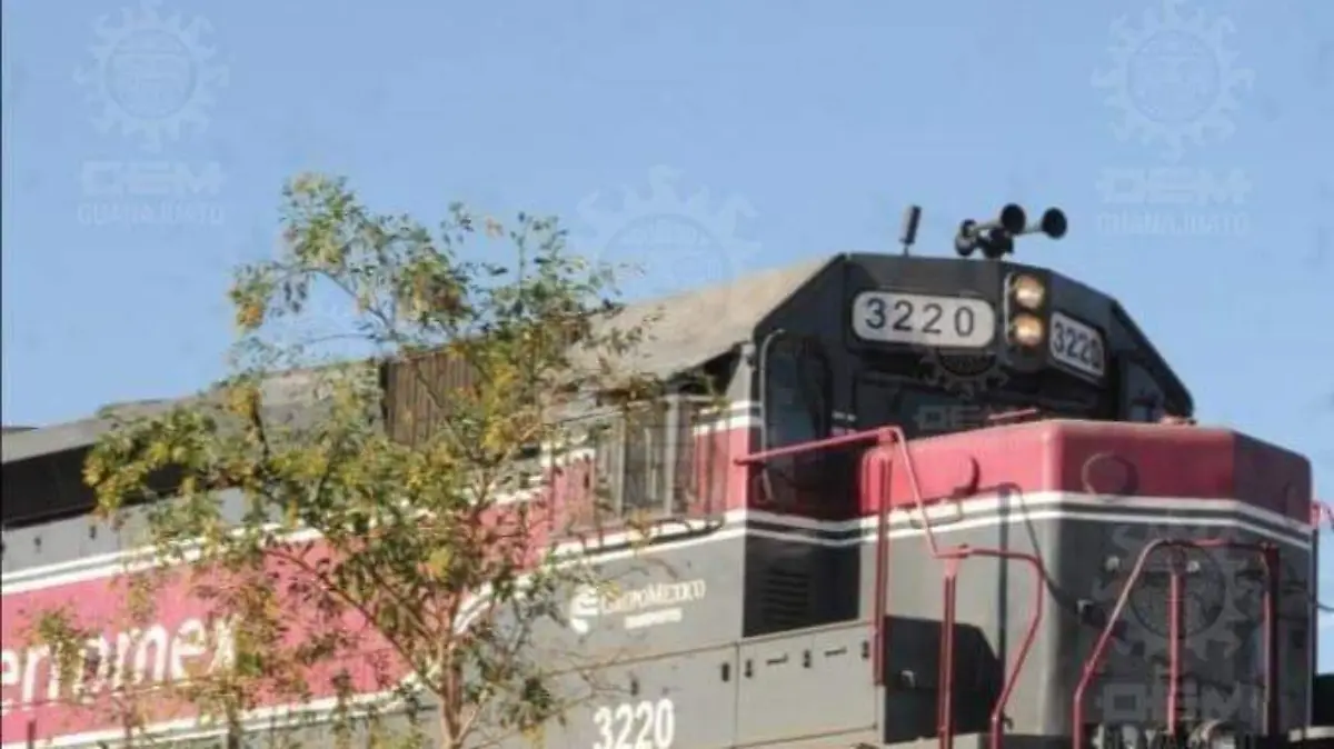 WhatsApp Image 2022-02-08 at 11.37.30 AM