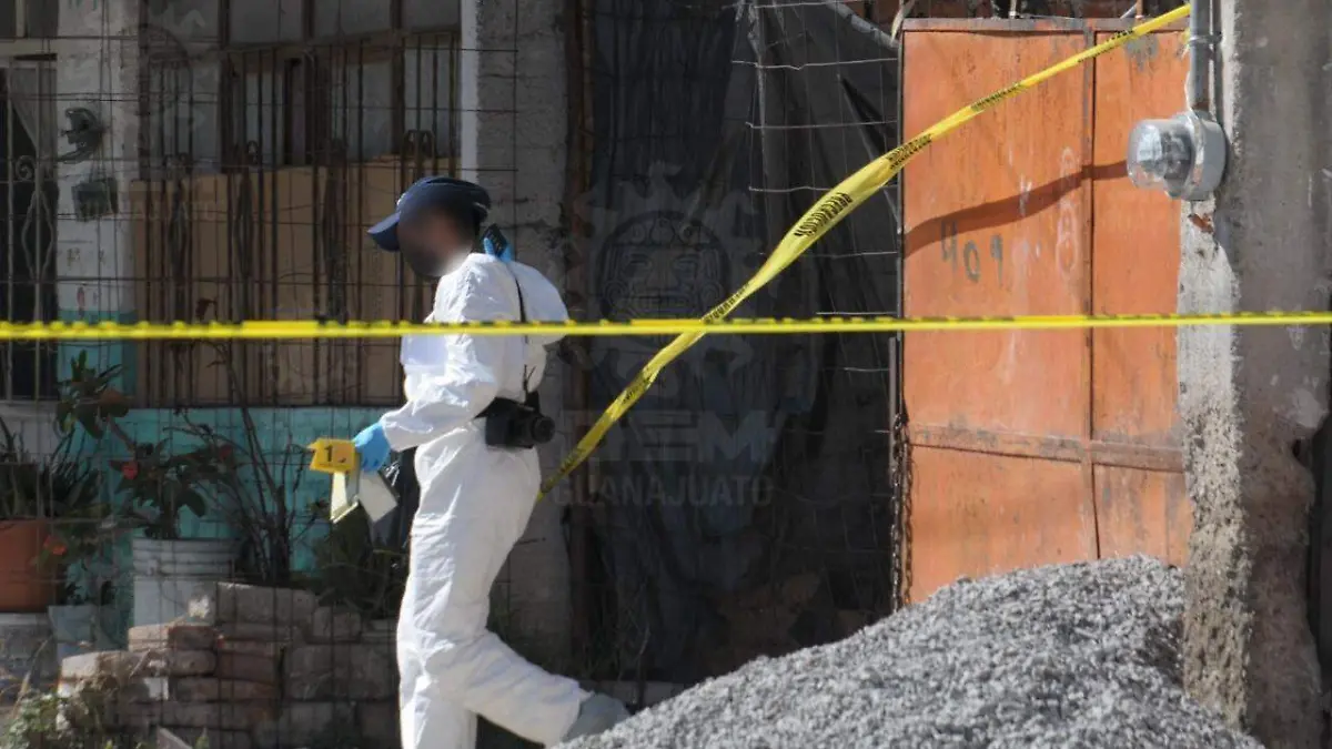 WhatsApp Image 2021-11-09 at 2.34.50 PM