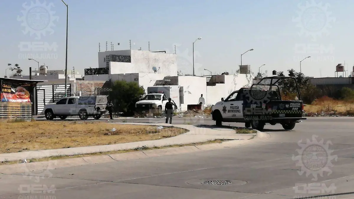 WhatsApp Image 2023-01-06 at 10.47.48 AM