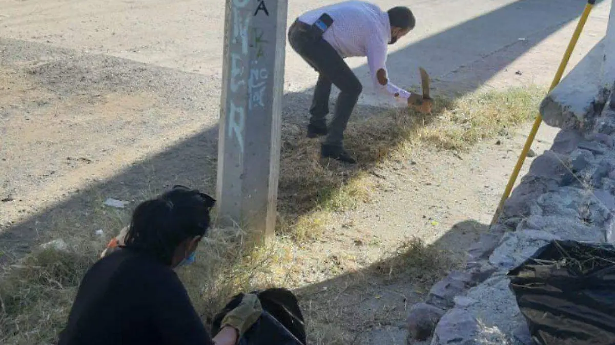 IMG_20211120_150547_306