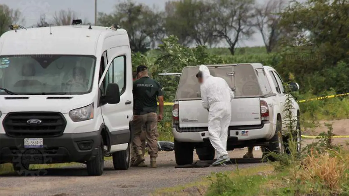 WhatsApp Image 2021-08-28 at 12.17.35 PM