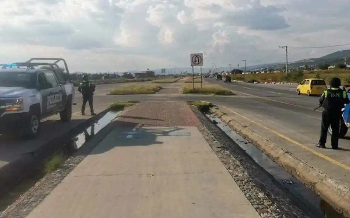 WhatsApp Image 2021-10-02 at 9.15.04 PM