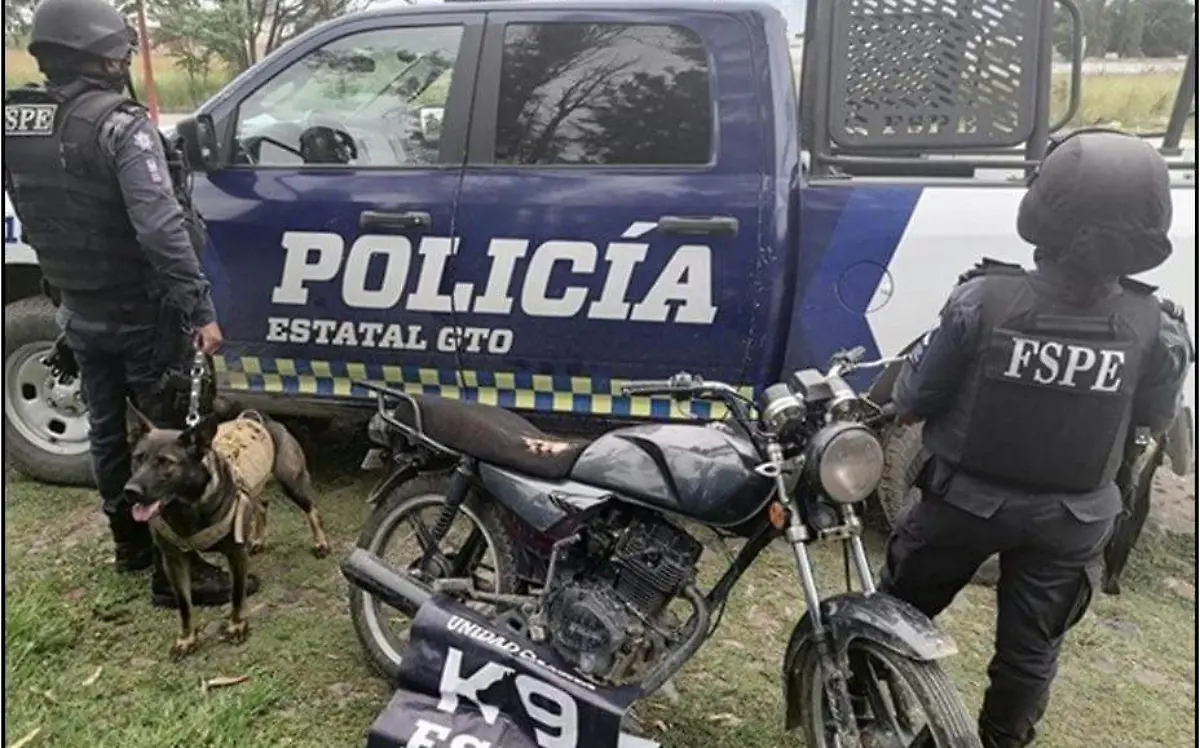 CORTESIA FSPE - DROGA SAN PANCHO (2)