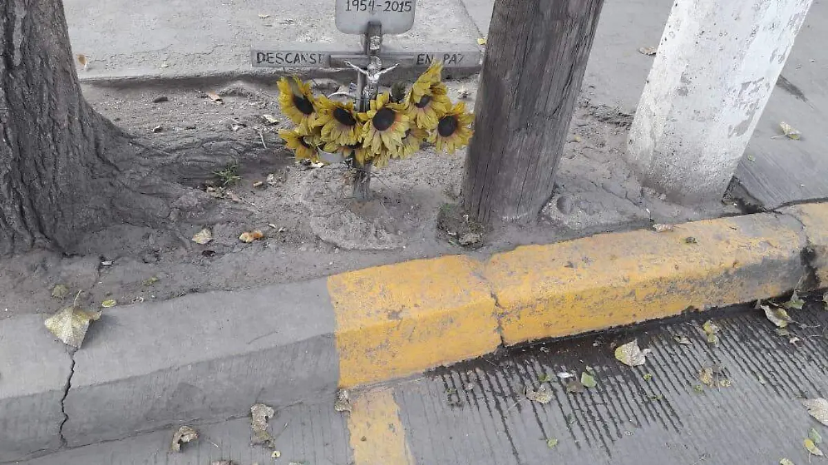 WhatsApp Image 2018-12-14 at 1.30.11 AM