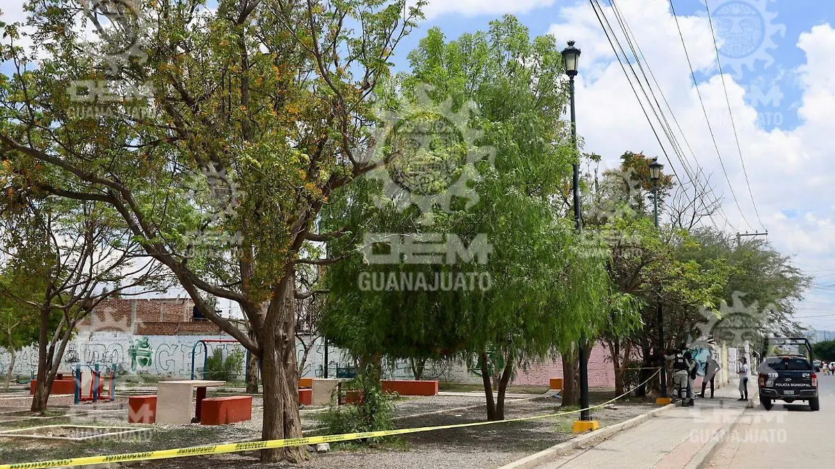 Picsart_23-07-22_12-32-09-909