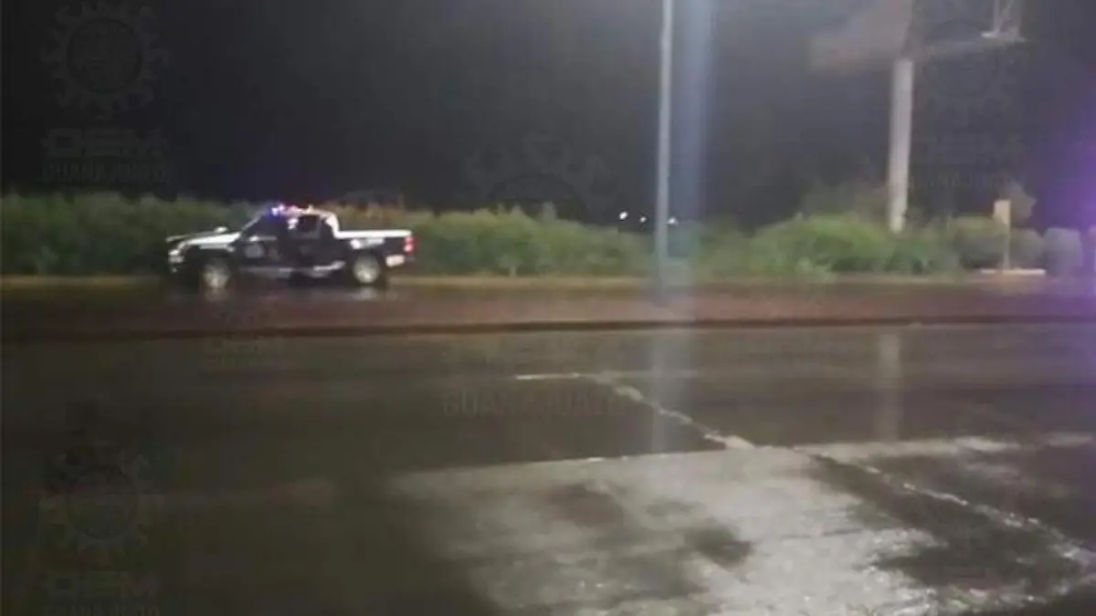 WhatsApp Image 2021-08-14 at 12.47.40 PM