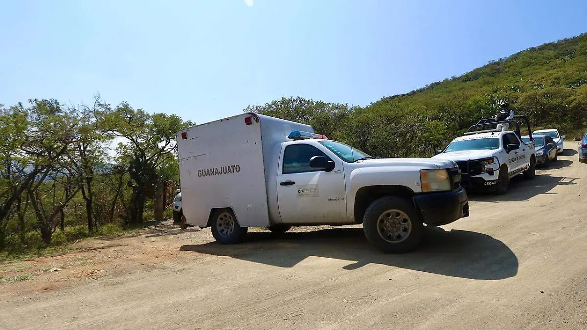 WhatsApp Image 2023-10-31 at 1.05.21 PM (1)