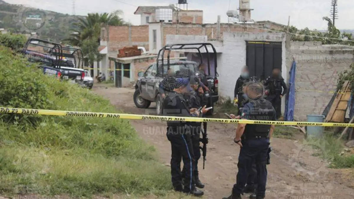 WhatsApp Image 2021-09-14 at 1.43.29 PM