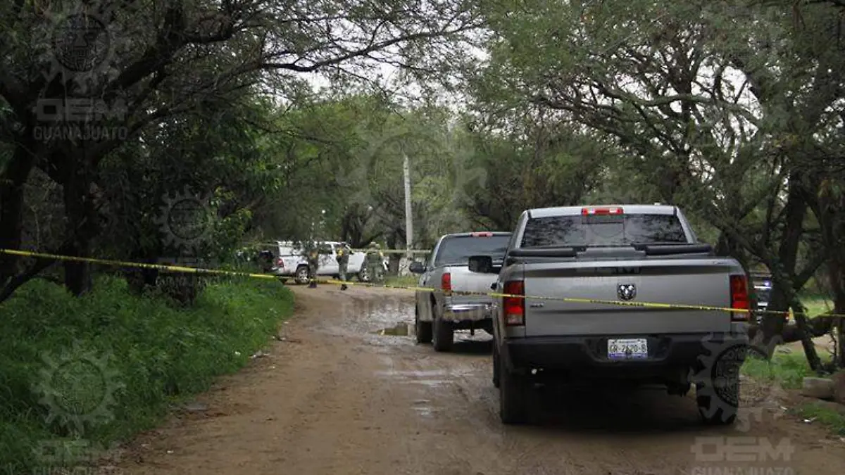 WhatsApp Image 2021-08-03 at 9.03.22 AM