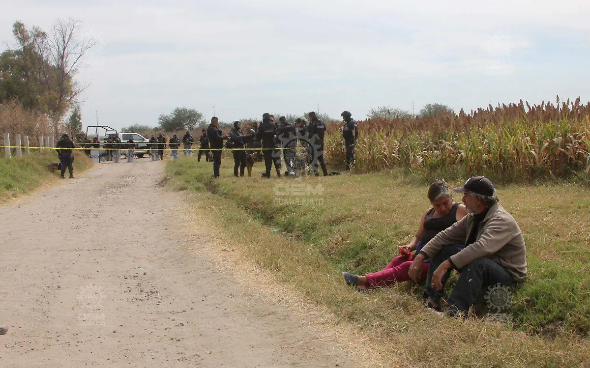 WhatsApp Image 2021-11-17 at 12.09.26 PM