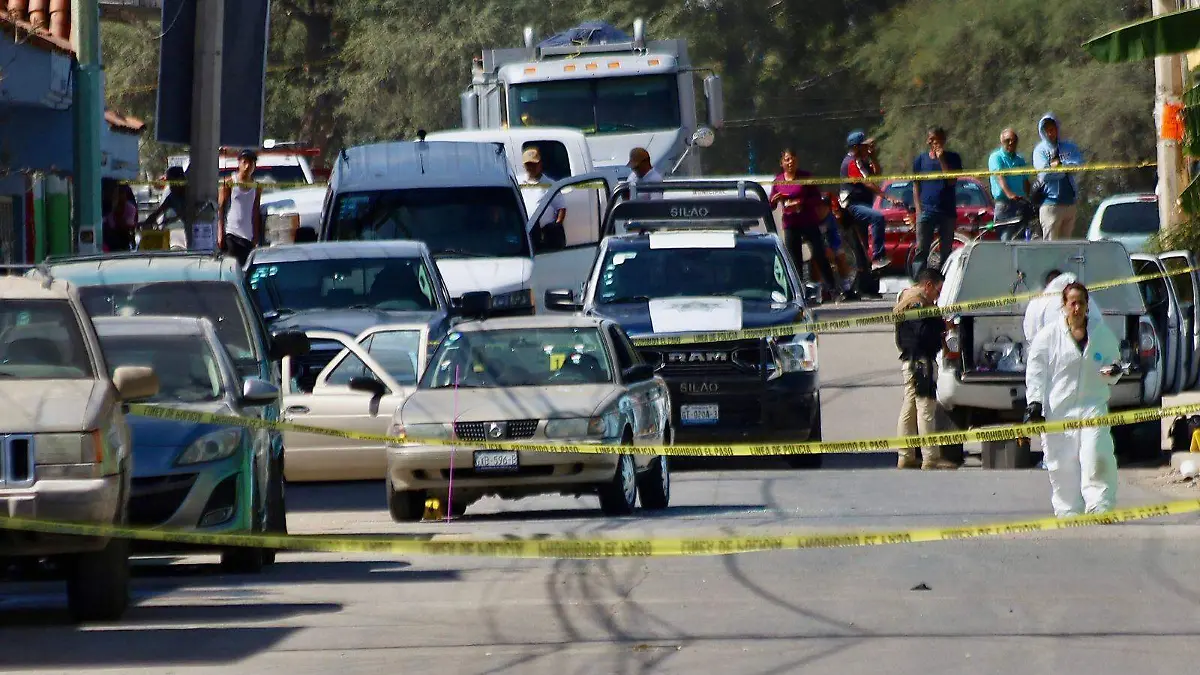 WhatsApp Image 2023-11-03 at 11.57.14 AM