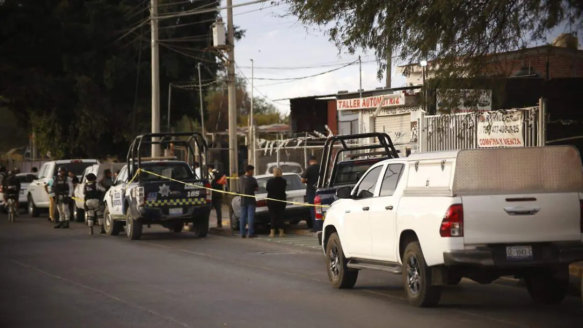 WhatsApp Image 2024-11-21 at 5.39.52 PM