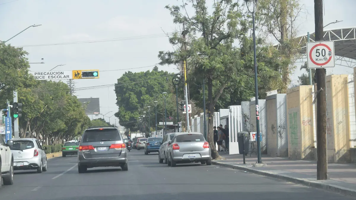 WhatsApp Image 2024-11-20 at 10.23.47