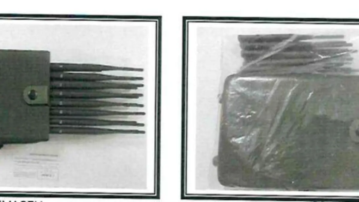 WhatsApp Image 2024-11-21 at 7.36.47 PM