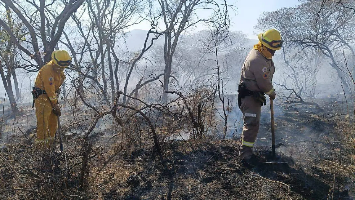 Cortesía SSPPC - INCENDIO FORESTAL SIERRA DE LOBOS (6)