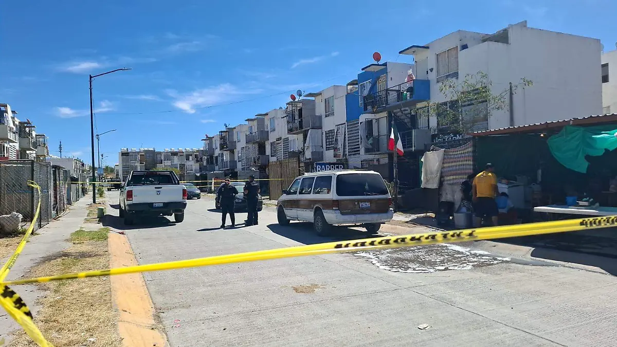 WhatsApp Image 2025-03-15 at 11.01.51 AM