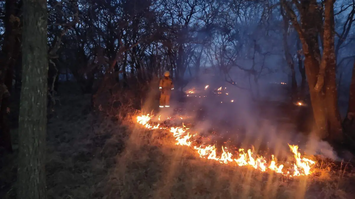 Terminan trabajos para mitigar fuego en Sierra de Lobos