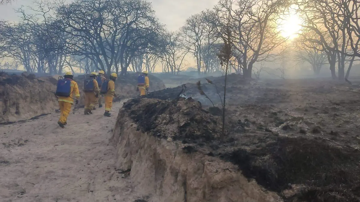 Terminan trabajos para mitigar fuego en Sierra de Lobos