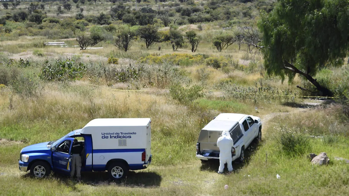 REDUCCION DE HOMICIIOS (6).JPG