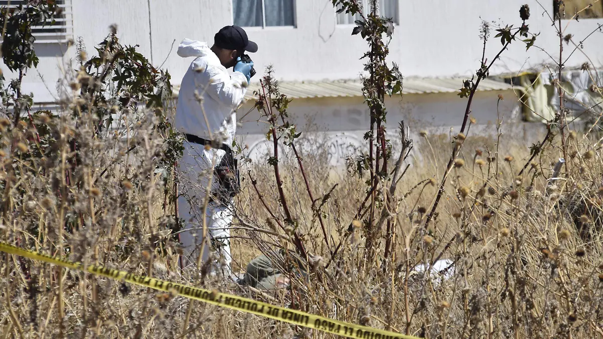 REDUCCION DE HOMICIIOS (7).JPG