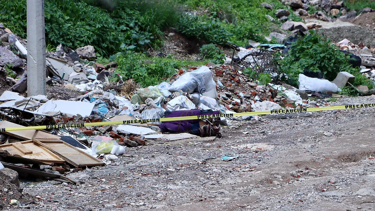 WhatsApp Image 2025-07-11 at 11.44.41 AM