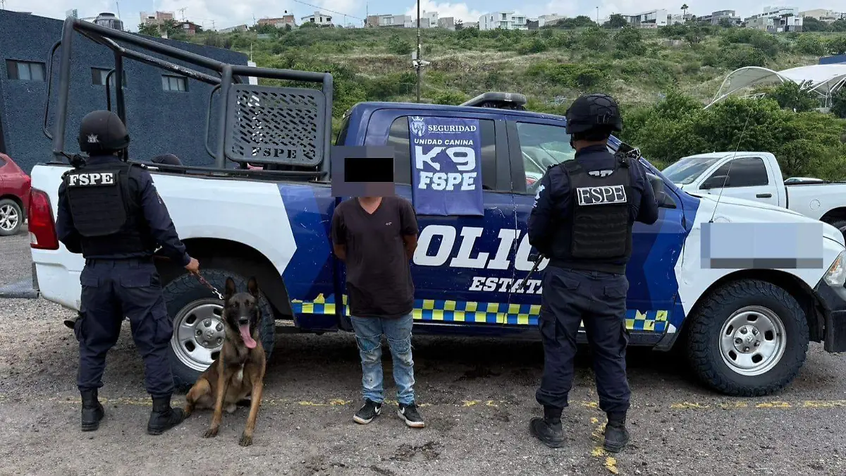 Binomio canino de la Secretaría de Seguridad y Paz detecta más de 200 dosis de supuesta droga durante operativo en León (1)