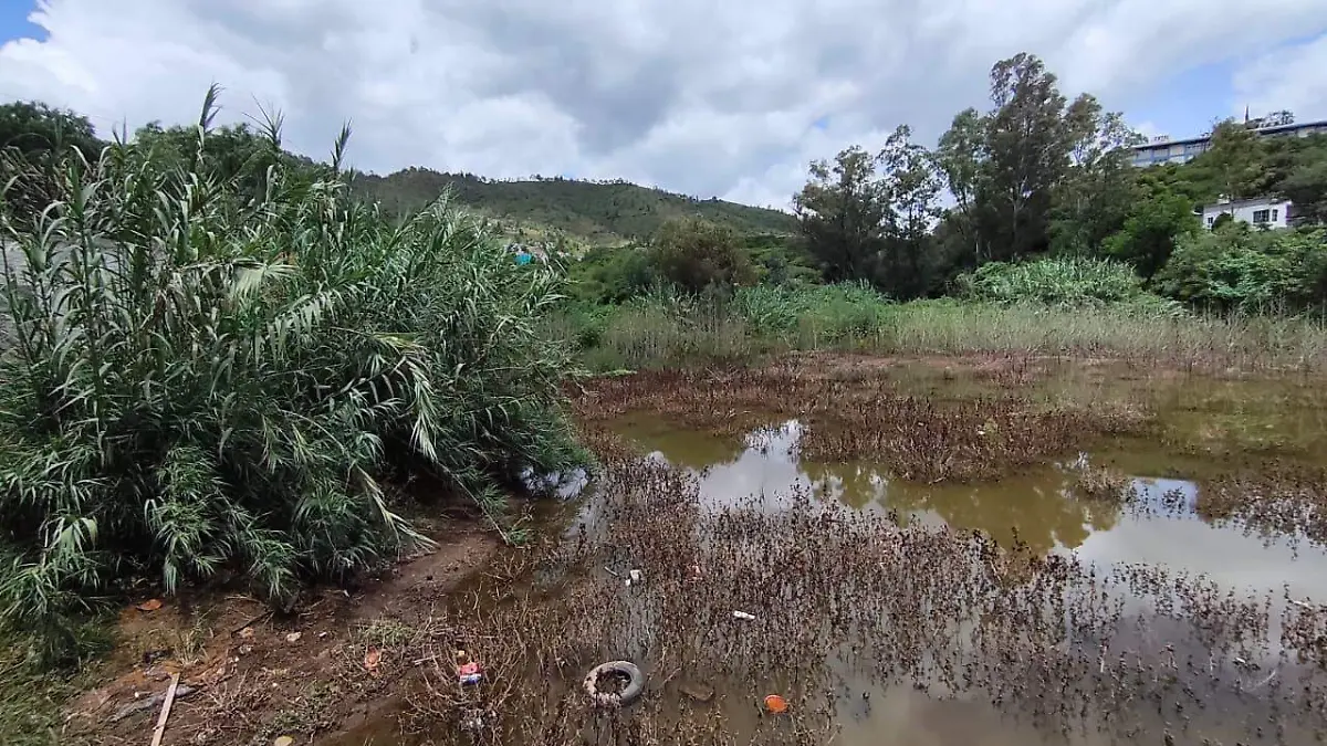 Proponen rescatar la Presa del Encino