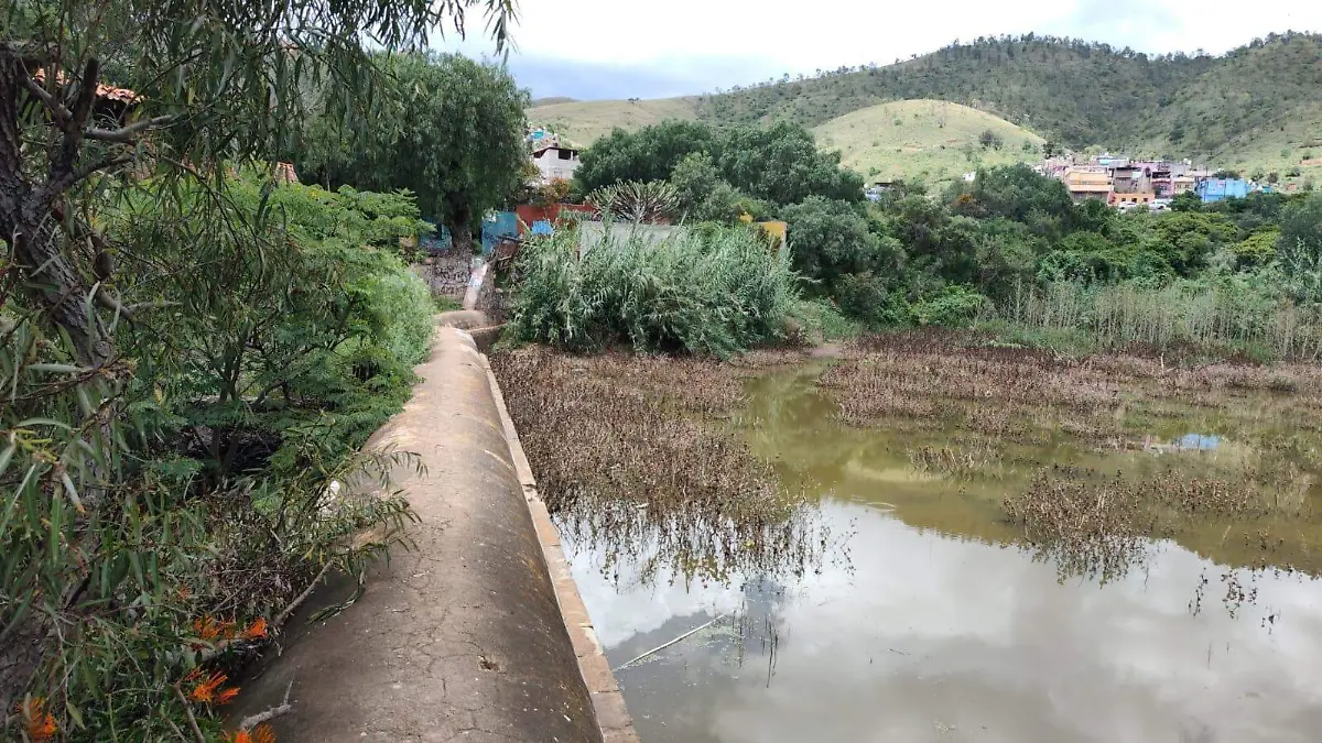 WhatsApp Image 2025-09-05 at 11.31.25 AM