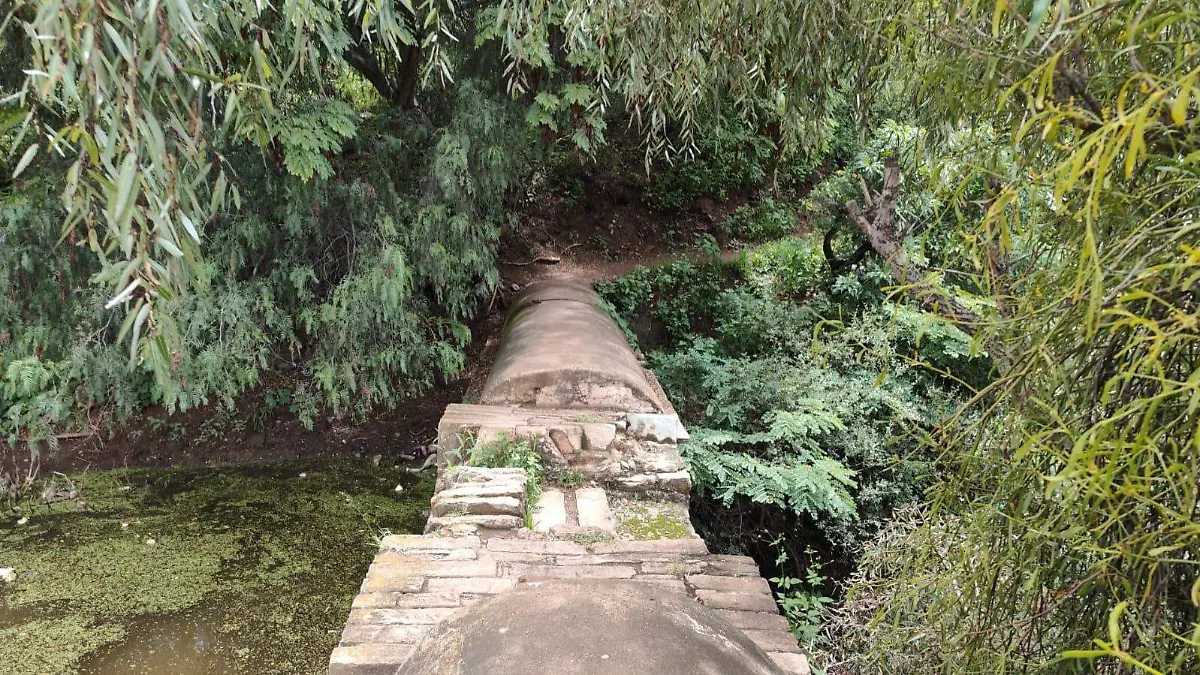 Proponen rescatar la Presa del Encino