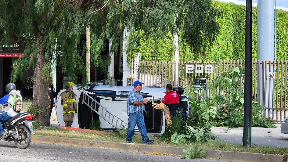 Cortesía (1)