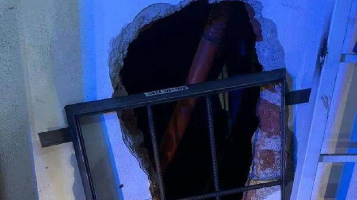 Cortesía SSPPC - ROBO (1)