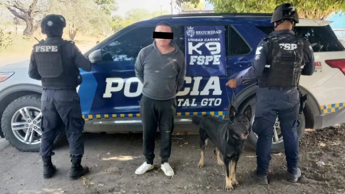 Aseguramiento K9 León 00 (1)