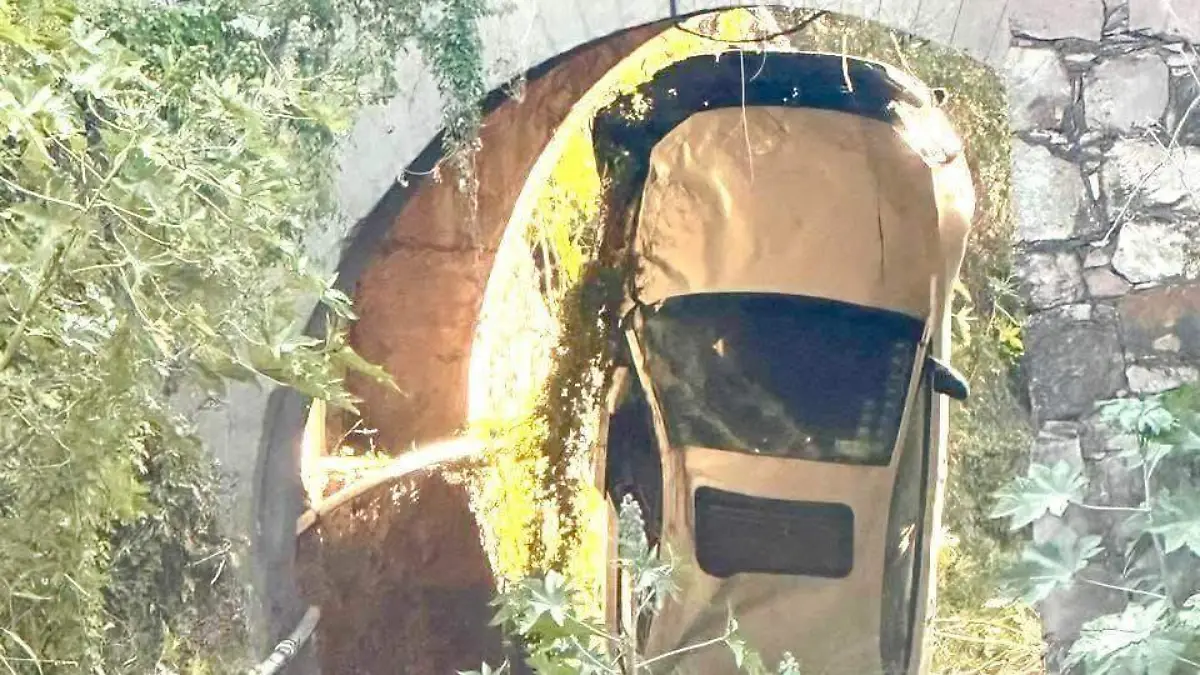 WhatsApp Image 2025-11-17 at 12.08.19 PM