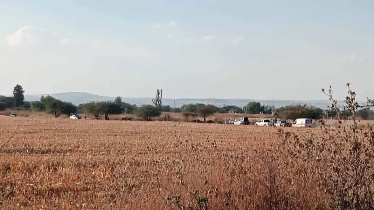 hallazgo san juan de abajo