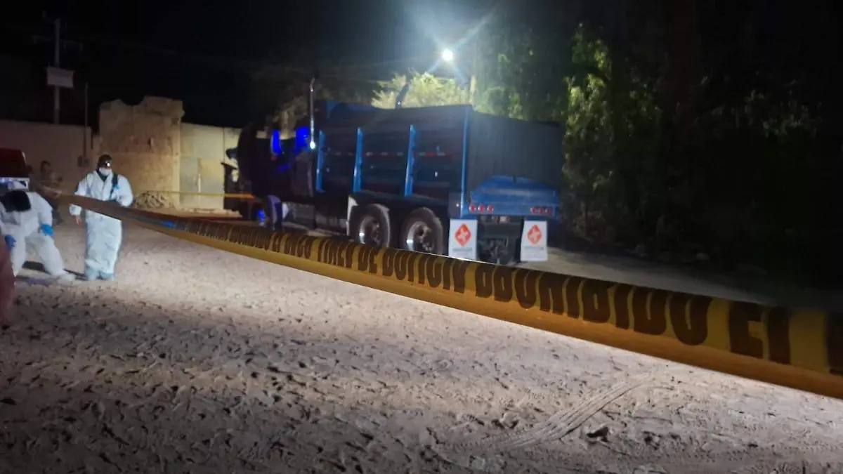 WhatsApp Image 2025-11-18 at 7.51.28 PM