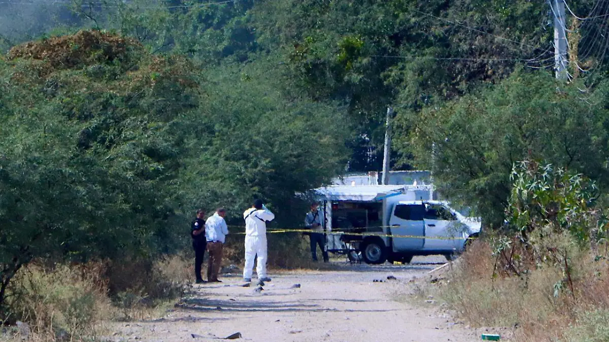 WhatsApp Image 2025-11-19 at 1.31.38 PM