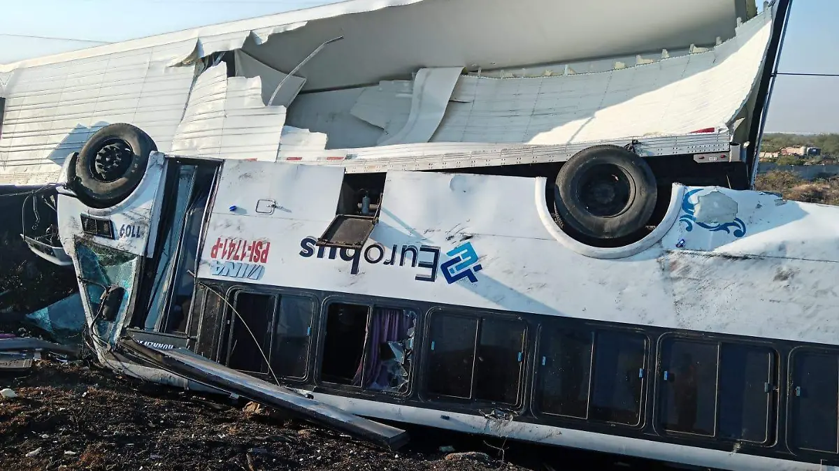 WhatsApp Image 2025-11-22 at 9.14.00 AM