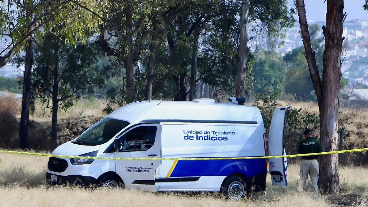 WhatsApp Image 2025-11-24 at 11.34.03 AM