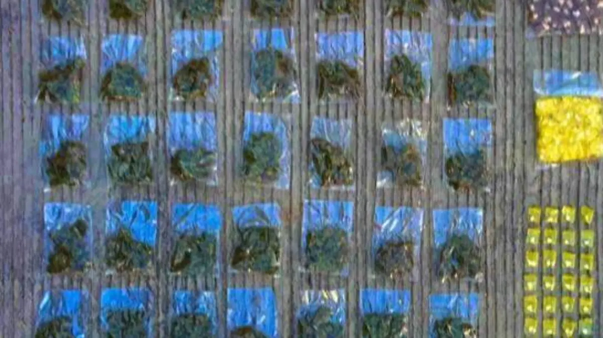 Cortesía SSPPC - ASEGURAMIENTO (4)