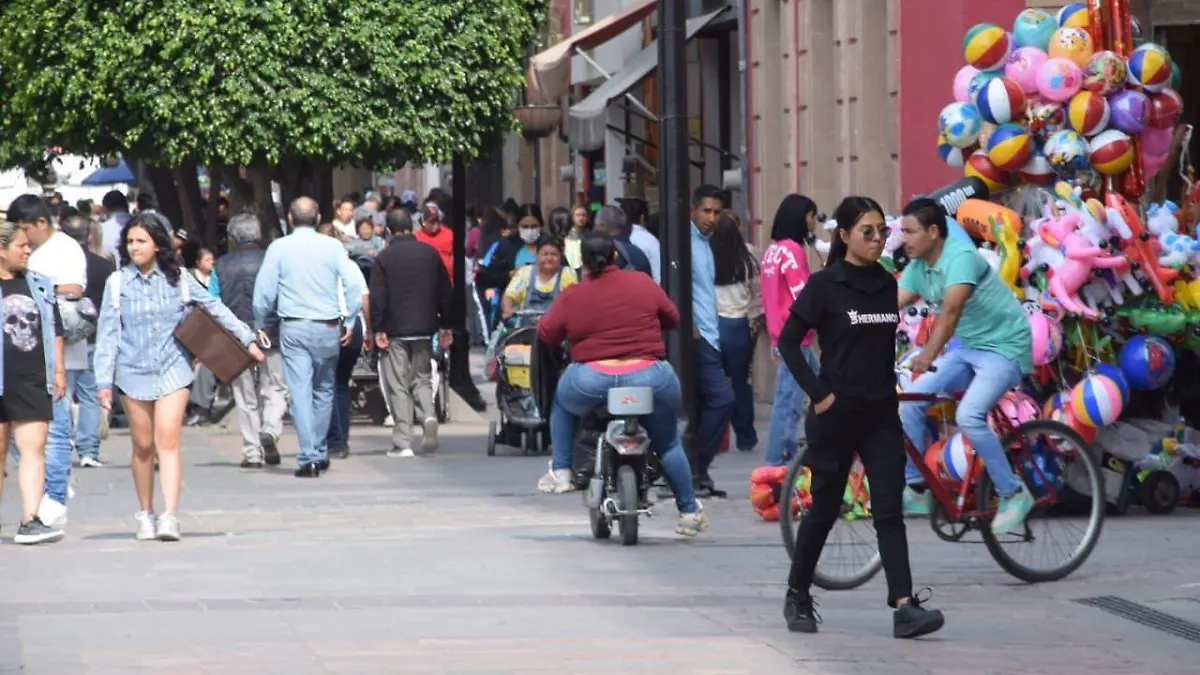 WhatsApp Image 2025-11-25 at 1.31.17 PM