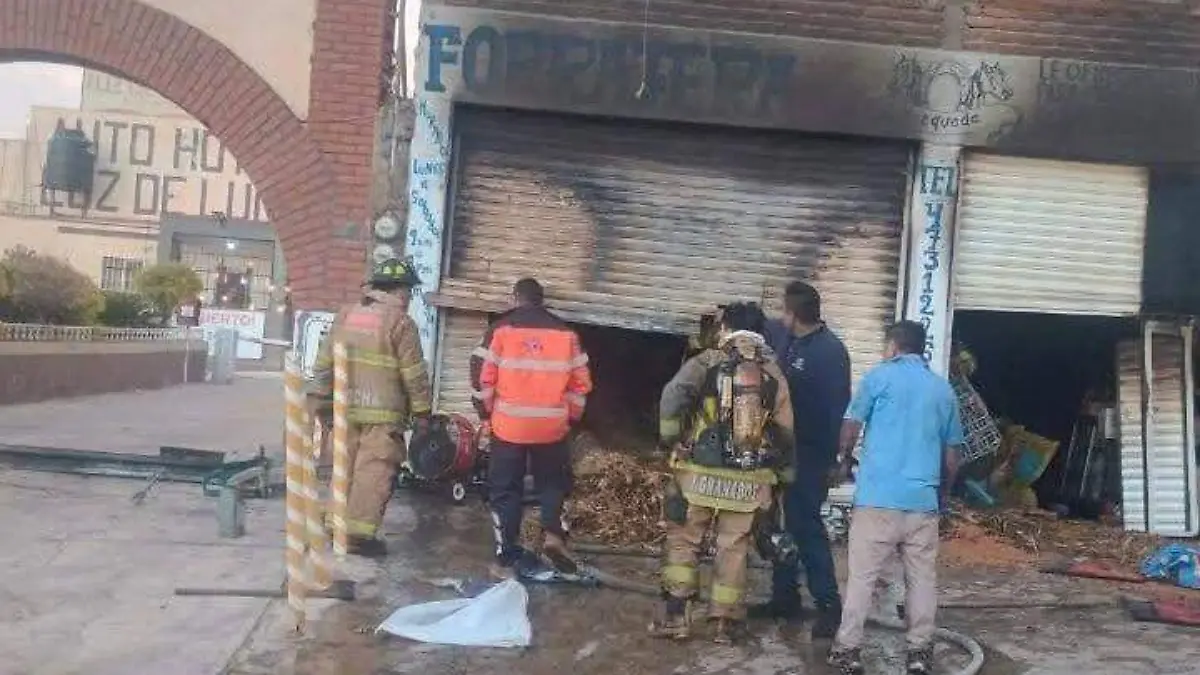 WhatsApp Image 2025-12-03 at 12.23.17 PM