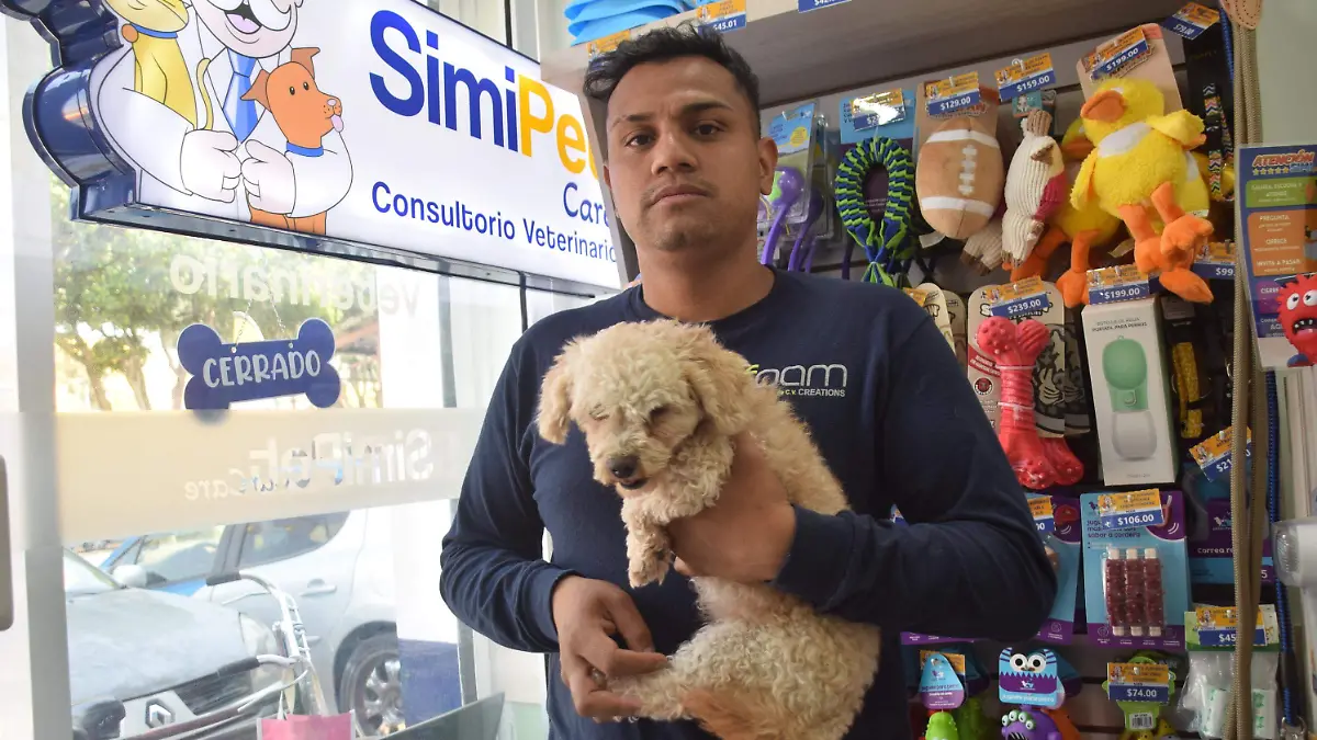 f carmona simipet (1).JPG