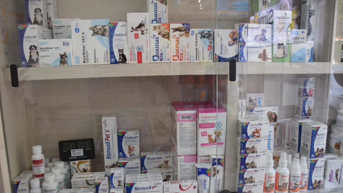 f carmona simipet (4).JPG