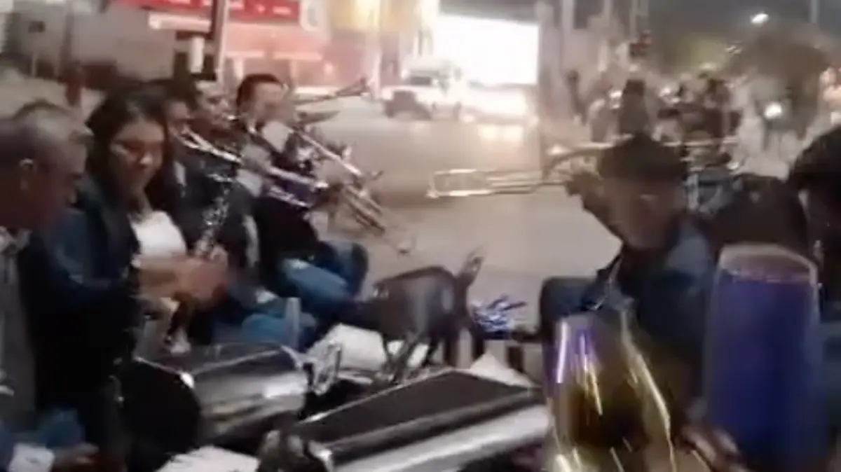 Captura de pantalla 2025-12-12 a la(s) 8.57.37 a.m.